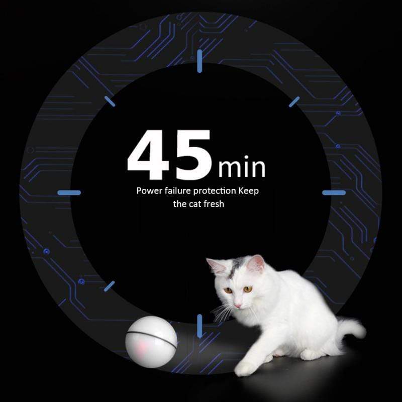 CatCurio Smart Funny Cat Ball
