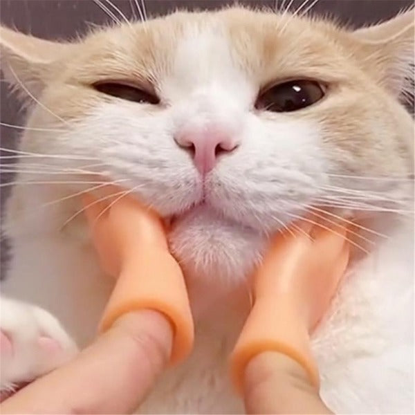 Cat Fingers Mini Hands Toy