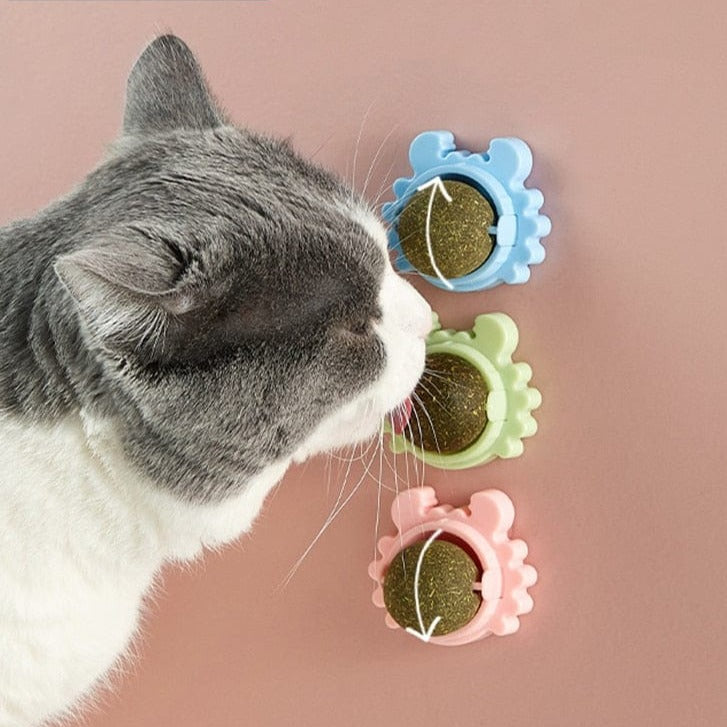 Catnip Ball Toy