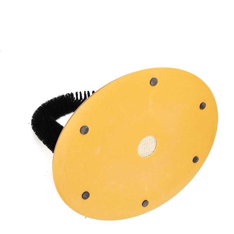 Cat Comfortable Arch Home Comb