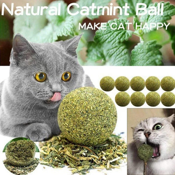 Cat Care Catnip Balls Treats