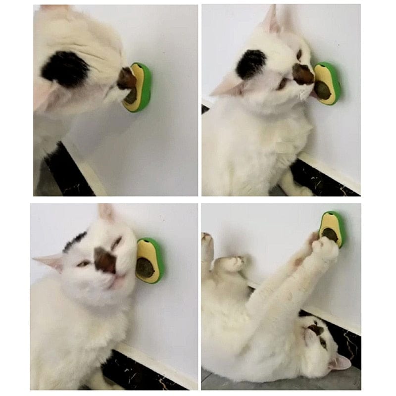 Avocado Shaped Catnip Toys